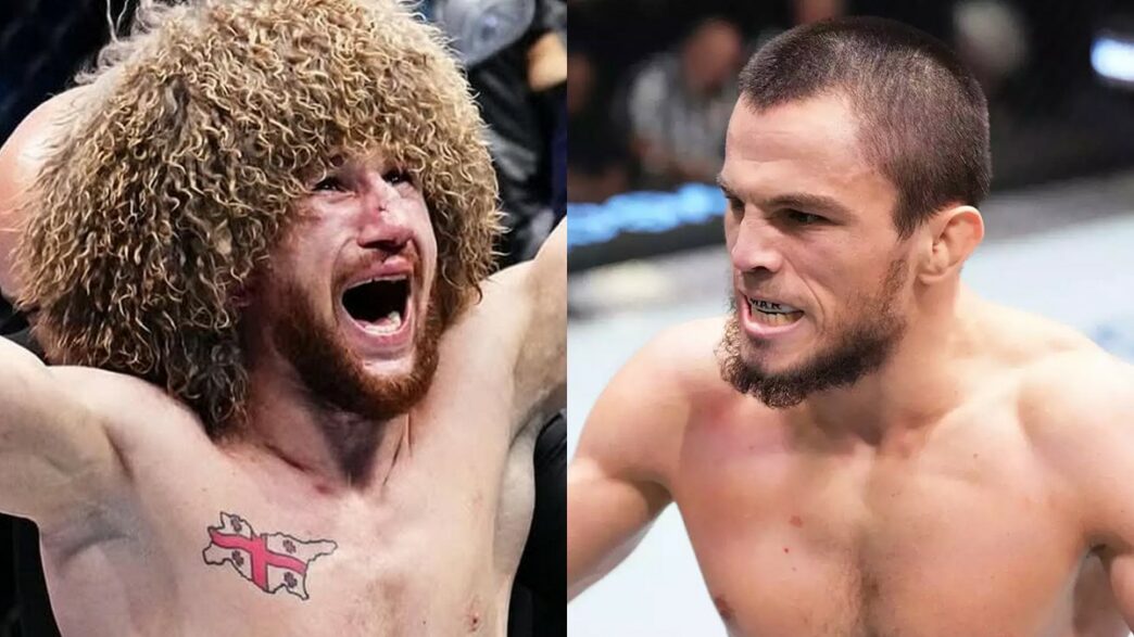 dvalishvili gifler nurmagomedov