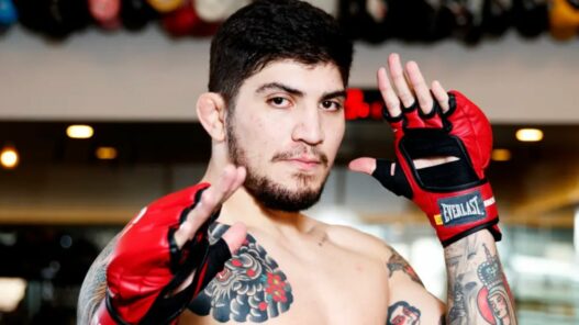 dillon danis nouvelle organisation gfl