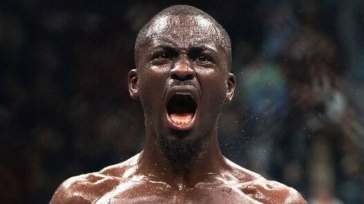 william gomis réagit défaite