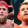 canelo alvarez jake paul hearn