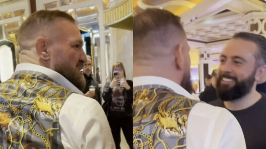 conor mcgregor crache fan khabib
