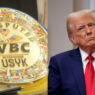 Zelensky Trump Usyk