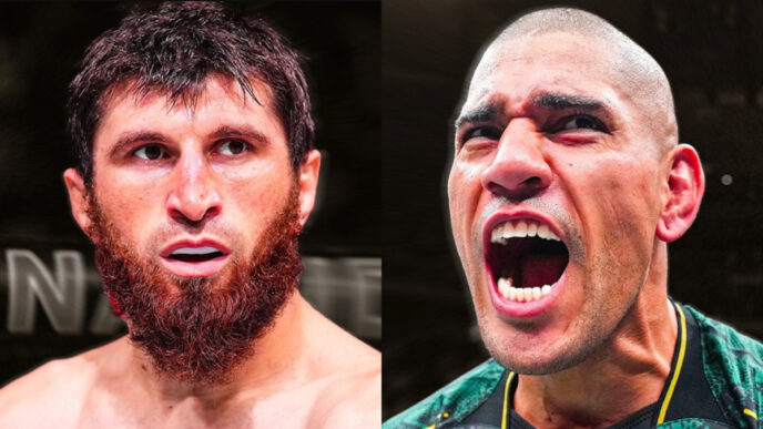 ankalaev alex pereira ramadan