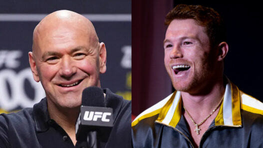 canelo avis dana white