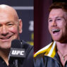 canelo avis dana white