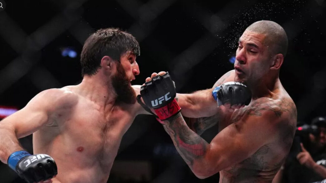 magomed ankalaev alex pereira