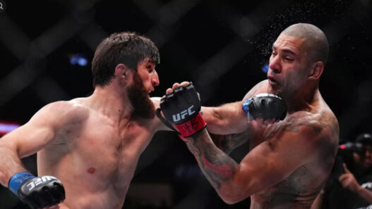 magomed ankalaev alex pereira