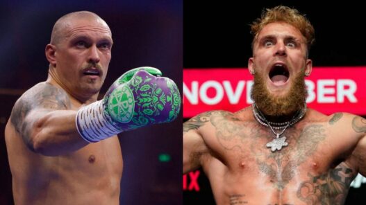 mma usyk jake paul