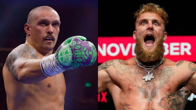 mma usyk jake paul