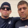 nate diaz nick diaz défiés