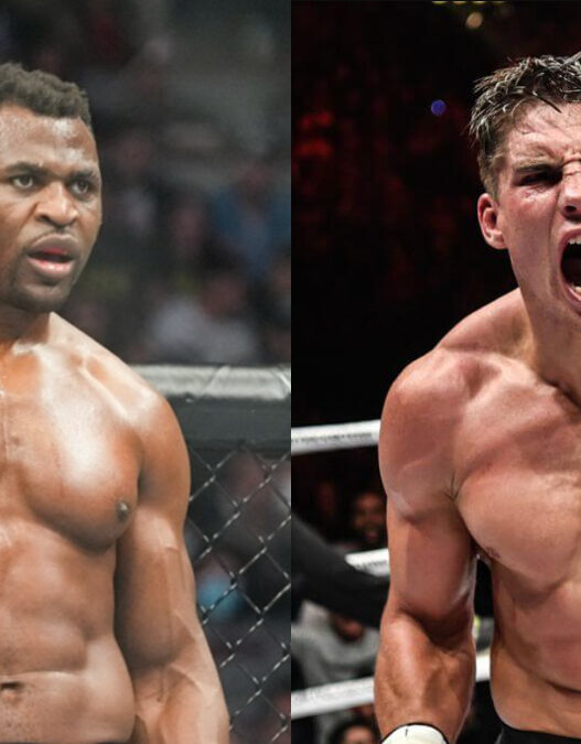 ngannou verhoeven