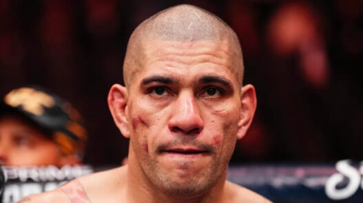 alex pereira ufc 317