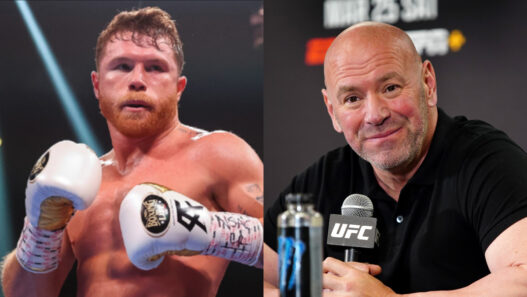 canelo alvarez affronter ufc