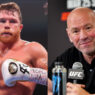 canelo alvarez affronter ufc