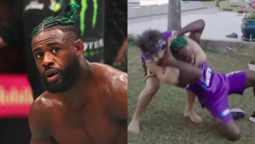 ex champion ufc etrangle