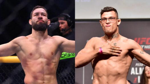 caio borralho nassourdine imavov