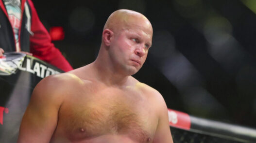 revelations fedor emelianenko ufc