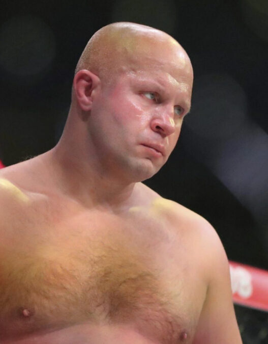 revelations fedor emelianenko ufc