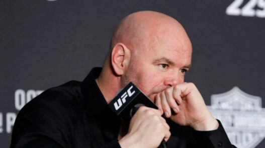 ufc horrible blessure