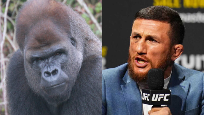 merab dvalishvili gorille