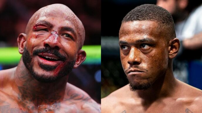 alex pereira hill rountree