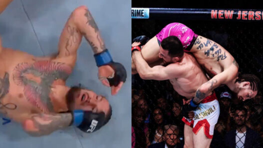 ufc 316 o'malley s'incline dvalishvili