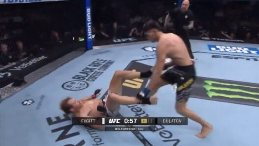 UFC 318 - Le mannequin professionnel de l'UFC claque un KO au 1er round !