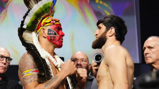 revanche alex pereira ankalaev UFC 320