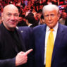 ufc maison blanche donald trump
