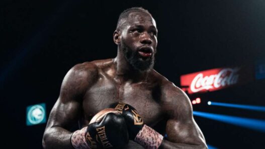 deontay wilder refuse canelo