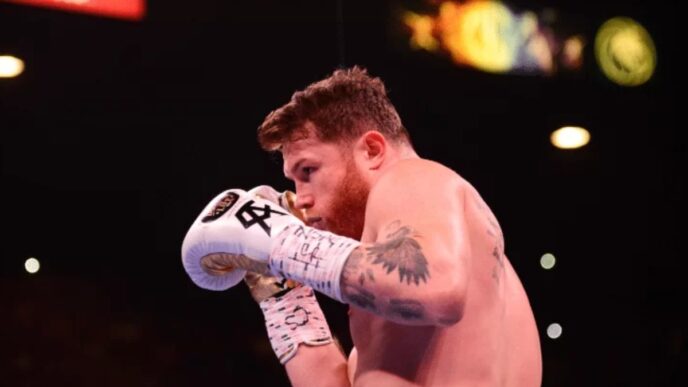sauvé canelo alvarez KO