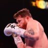 sauvé canelo alvarez KO