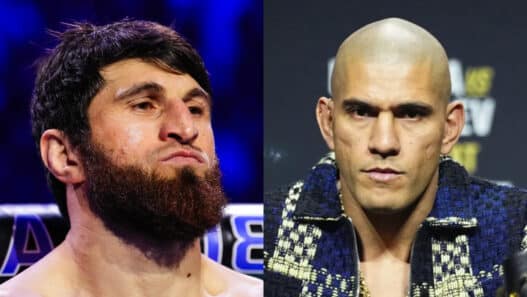 ankalev répond alex pereira