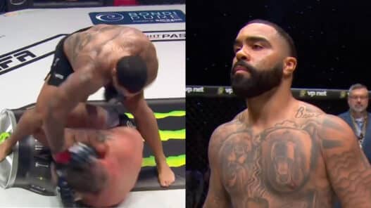 mma gable steveson TKO