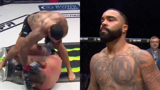 mma gable steveson TKO