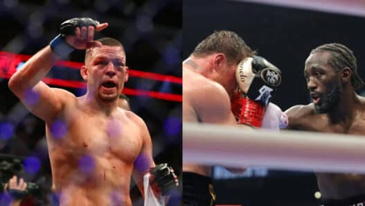 nate diaz terence crawford