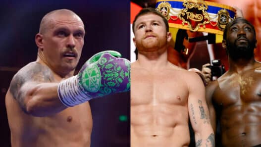 usyk canelo crawford