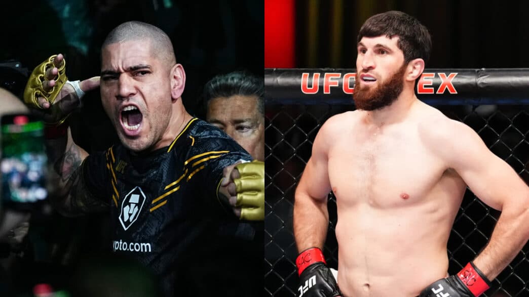 alex pereira confidence terrifiante