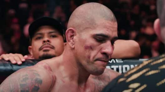 confidence alex pereira avenir ufc