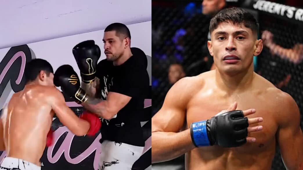 détruit alex pereira signe ufc