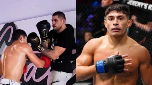 détruit alex pereira signe ufc