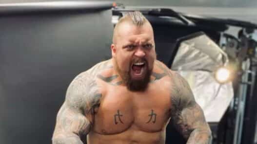 mma eddie hall transformation conor mcgregor