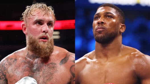 boxe deux legendes ufc vont s'affronter