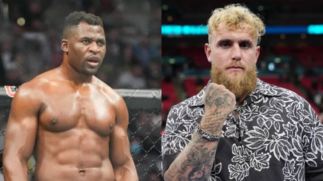 jake paul repond francis ngannou