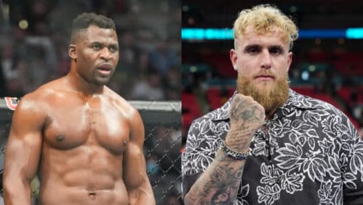 jake paul repond francis ngannou