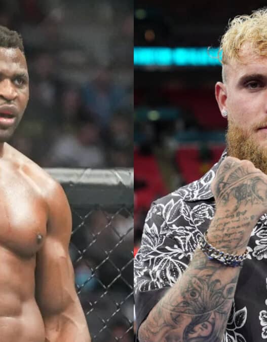 jake paul repond francis ngannou