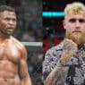 jake paul repond francis ngannou