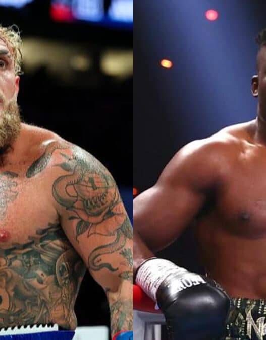 jake paul tacle francis ngannou