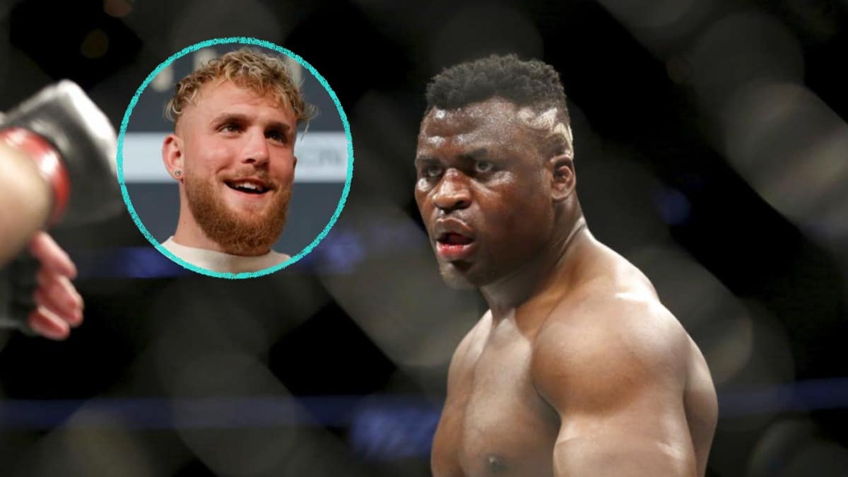ngannou jake paul irrespectueux