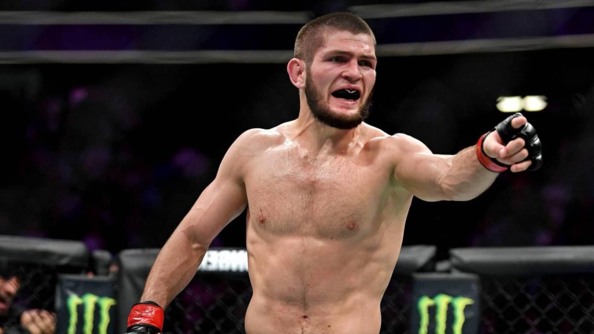 https://lasueur.com/wp-content/uploads/2025/12/Khabib-nen-peut-plus-de-lUFC.jpg